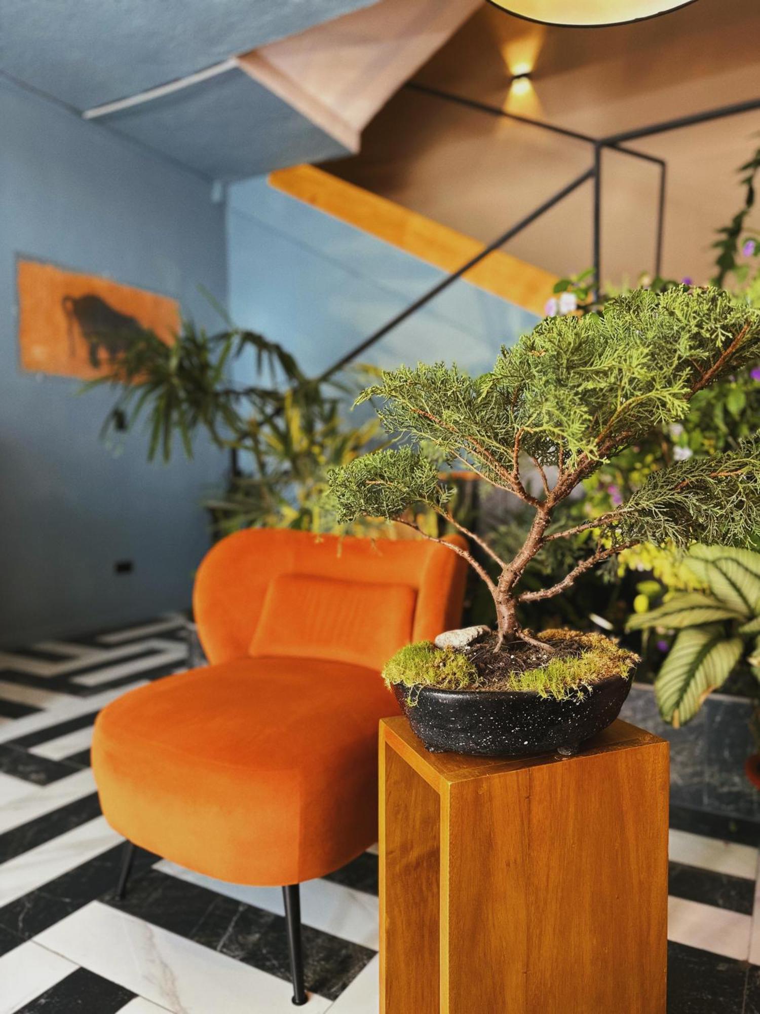 Hotel Agave Banos Buitenkant foto